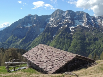 08 2013-05-12 zulino campagano capriolo 049