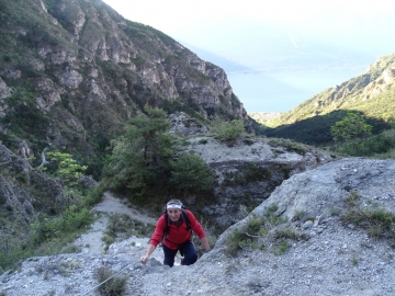 2016-05-03 Limone senter del Fiore (16)