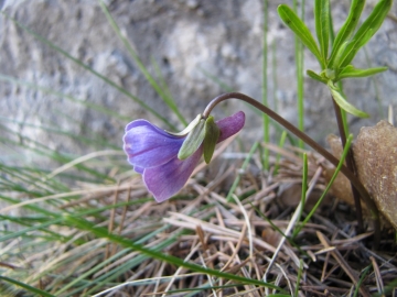 2009-05-07 val tignalga 197